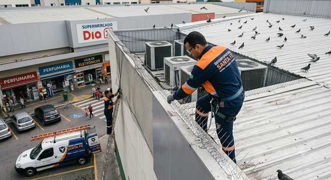 Dedetizadora